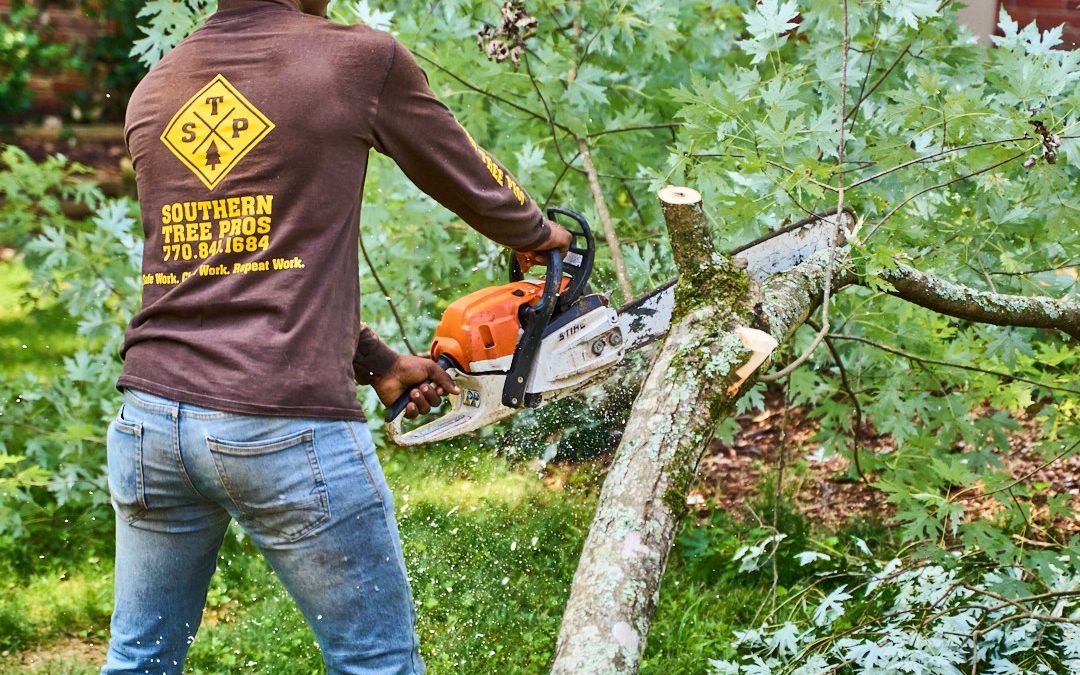 3 Ways to Prevent the Spread of Disease Between Your Landscape Trees