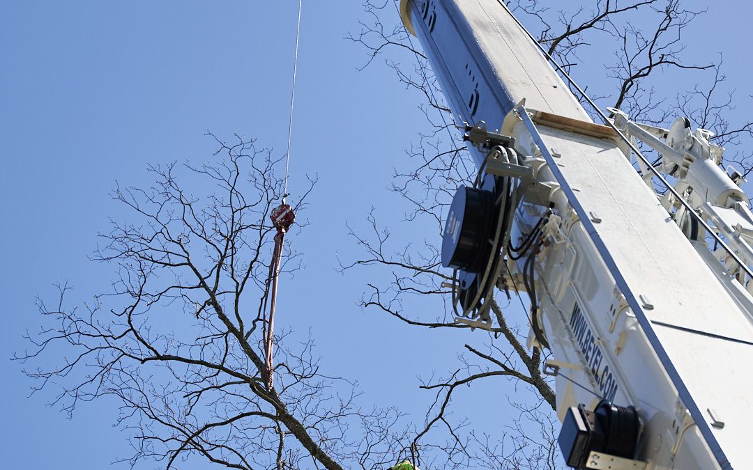 Tree Care Company Available for Dangerous Tree Removal Service in Atlanta, GA